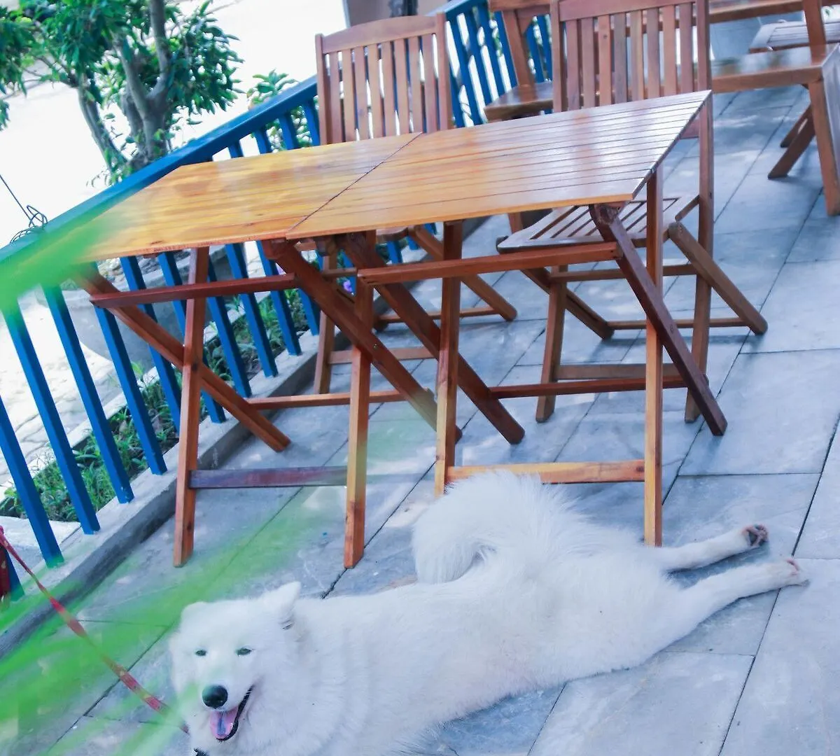 Cavilla Apartel Da Nang 3*,  Vietnam